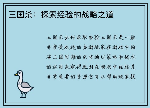 三国杀：探索经验的战略之道
